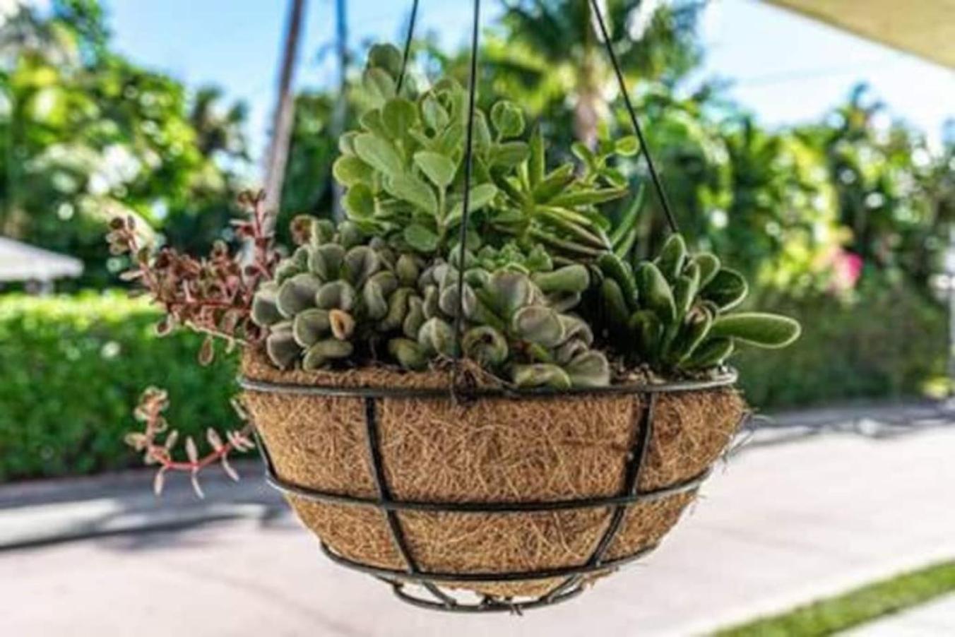 Olive Apart Unit 1 By Pmi West Palm Beach Eksteriør bilde
